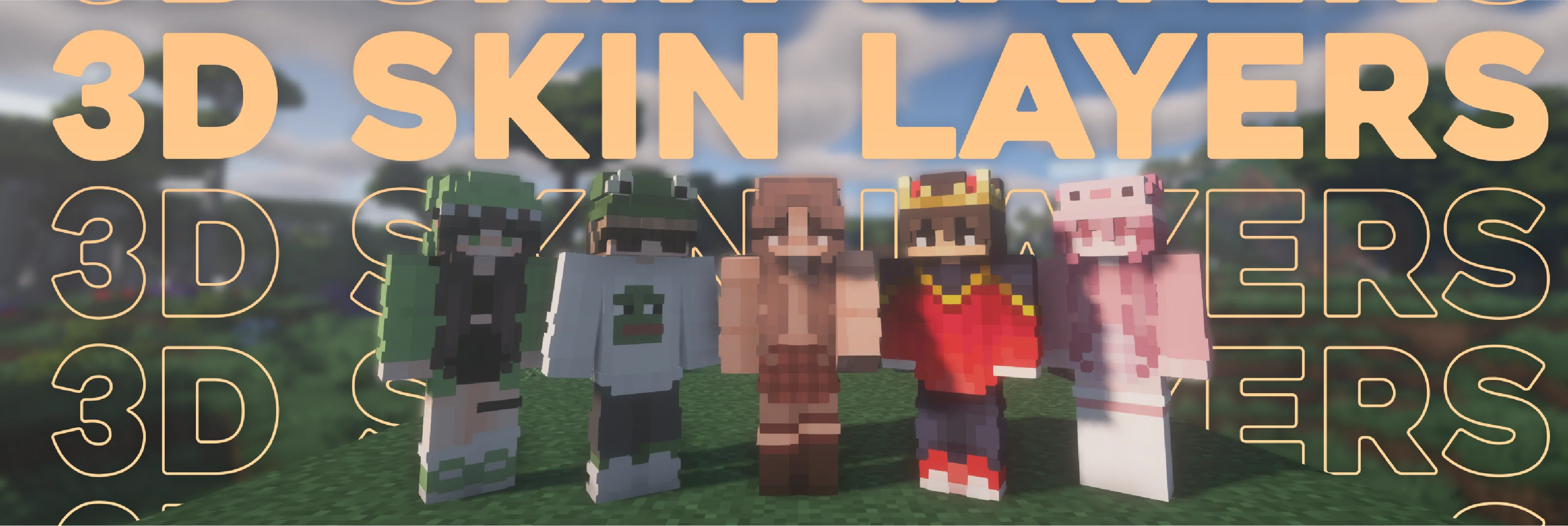Five player characters with 3D skin layers standing on grass beneath repeated 3D Skin Layers title text