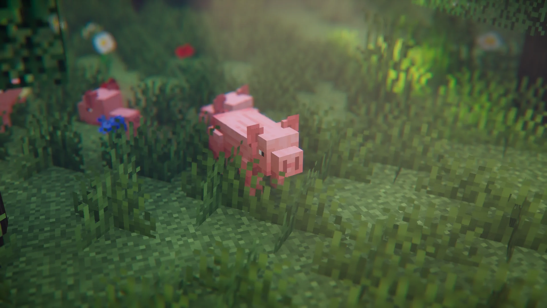 Pigs resting in tall grass with shaders