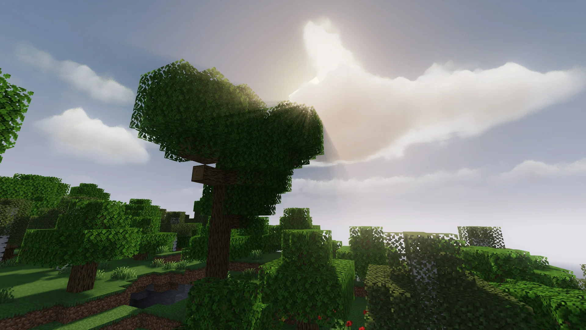 Sunlight breaking through clouds behind a large oak tree