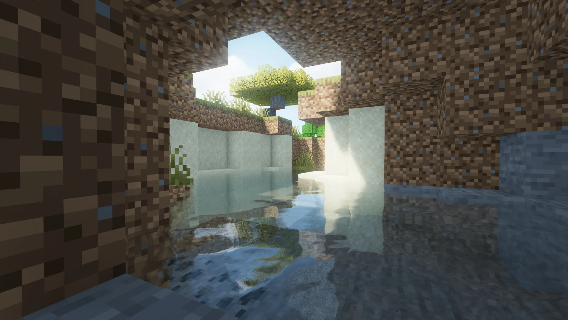 Flooded cave opening looking out to a sunlit tree