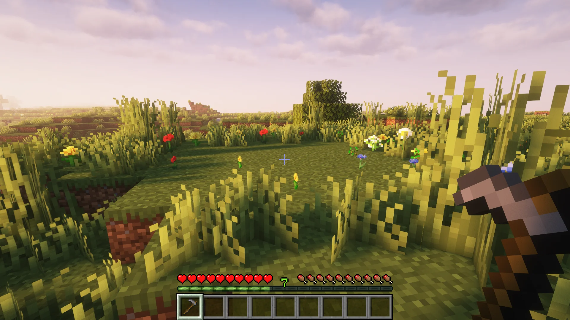 First-person gameplay holding a hoe in a meadow of tall grass and scattered flowers