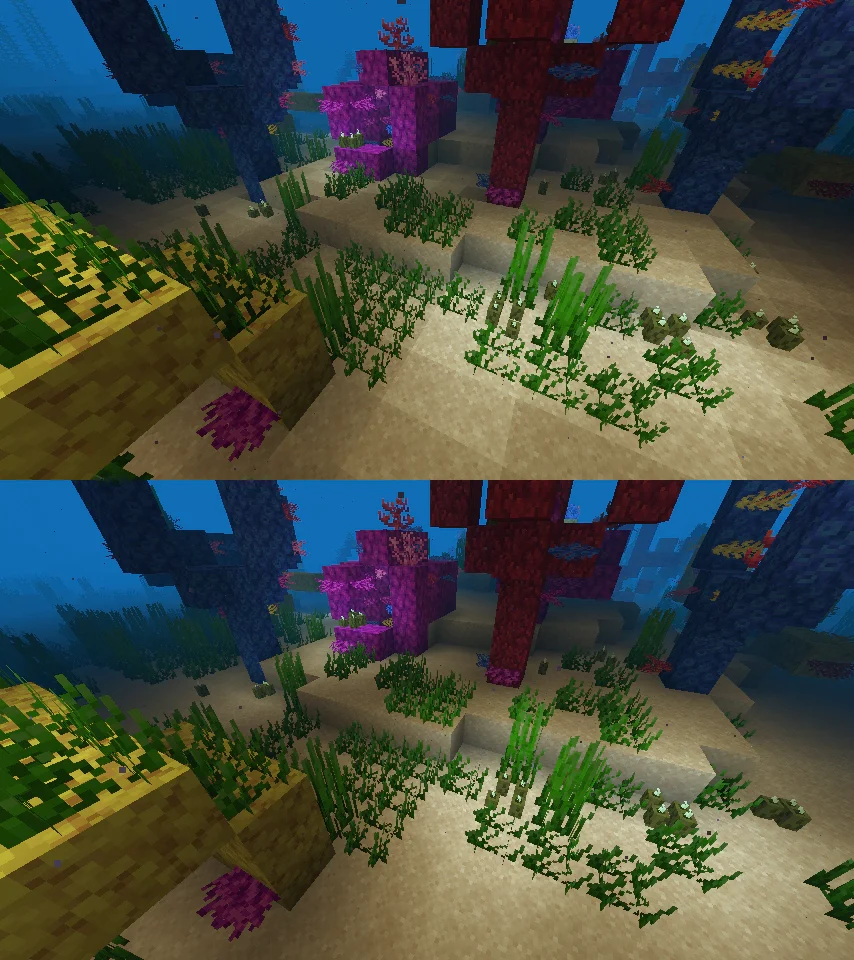 Underwater scene comparing lighting on coral and seagrass