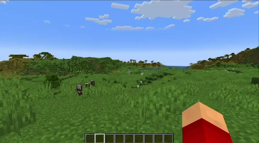 First-person Minecraft view of a grassy savanna with acacia trees, presented as a zoom example